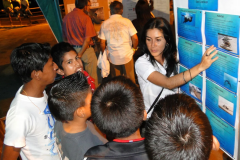 Environmental communication campaign on sea lions aimed at the local population