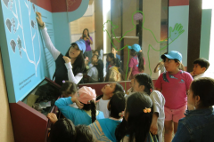 At the San Cristobal Environmental Interpretation Centre, Galapagos