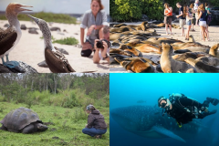 Early Years and Environmental  Educator