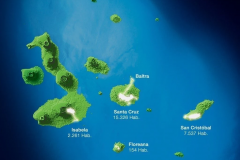 Early Years and Environmental  Educator