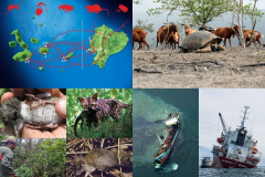 Early Years and Environmental  Educator