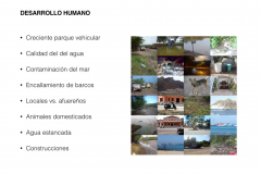 Early Years and Environmental  Educator