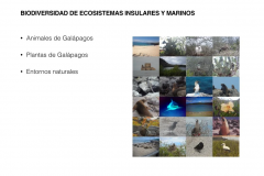 Early Years and Environmental  Educator